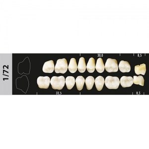 Зубы Major A3,5 1/72 жевательный низ, 8 шт (Super Lux). st579433 - фото 479594