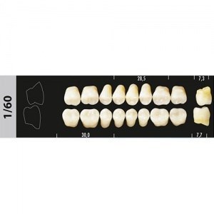 Зубы Major A2 1/60 жевательный верх, 8 шт (Super Lux). st592315 - фото 479839