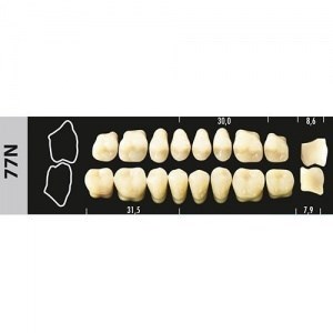 Зубы Major B4 77N жевательный низ, 8 шт (Super Lux ) st734627 - фото 480038