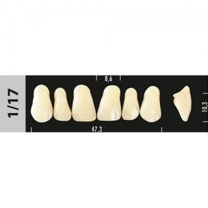 Зубы Major D2 1/17, 28 шт (Super Lux) st404897 - фото 480207