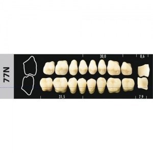 Зубы Major D4 77N жевательный верх, 8 шт (Super Lux) st498616 - фото 480286