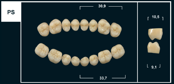 Зубы Yeti D2 PS жевательный низ (Tribos) 8 шт. 20314 - фото 480466