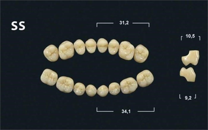 Зубы Yeti BL3 SS жевательный верх (Tribos) 8 шт. 21217 - фото 480555