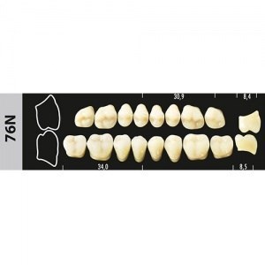 Зубы Major D3 76N жевательный верх, 8 шт (Super Lux) st710481 - фото 481521