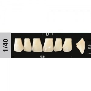 Зубы Major A2 1/40, 28 шт (Super Lux). st513076 - фото 481797