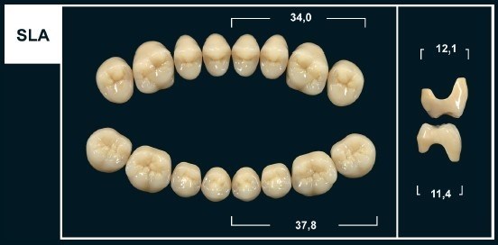Зубы Yeti B2 SLA жев. верх (Tribos) 8 шт. 22007 - фото 483483