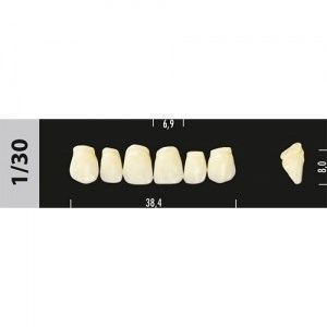 Зубы Major B4 1/30, 28 шт (Super Lux) st588524 - фото 484416