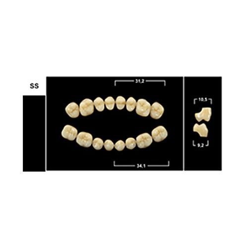 Зубы Yeti D4 SS жевательный низ (Tribos) 8 шт. 21316 - фото 484897