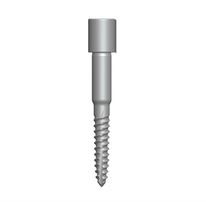 DGAS10 Фиксирующий винт, 19 мм, Dentium (Ю.Корея) DGAS10 - фото 500337