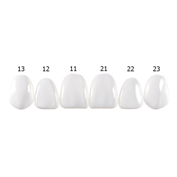 Componeer Set upper - гарнитур виниров для верхней челюсти (11, 12, 13, 21, 22, 23), размер L, цвет Enamel Universal, 6 шт 1318 - фото 501603
