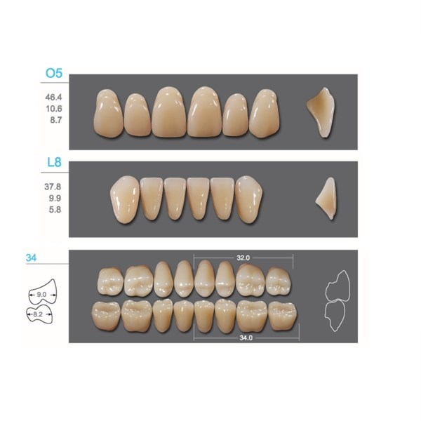 Kaifeng - зубы акриловые, верхние O5, овальные, цвет C2, коробка 4х28 шт C2O5/L8/34_Kaifeng - фото 514626