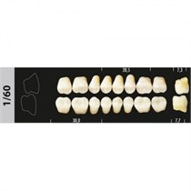 Зубы Major B3 1/60 жевательный низ, 8 шт (Super Lux). st303486