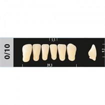 Зубы Major C1 0/10 фронтальный низ, 6 шт (Super Lux) st574157