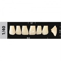 Зубы Major C4 1/40, 28 шт (Super Lux) st453901