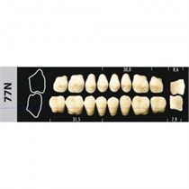 Зубы Major D4 77N жевательный низ, 8 шт (Super Lux) st980754