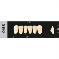 Зубы Major D4 0/53 фронтальный низ, 6 шт (Super Lux) st962911