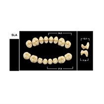 Зубы Yeti A2 SLA жевательный верх (Tribos) 8 шт. 22002