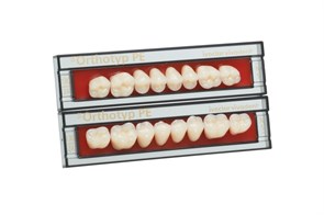 Зубы SR Orthotyp PE Набор из 8 зубов Chromascop жеват.низ. N4 2В. 523004