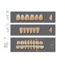 Kaifeng - зубы акриловые, верхние S2, цвет C2, коробка 4х28 шт C2S2/L2/30_Kaifeng