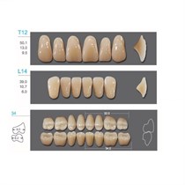 Kaifeng - зубы акриловые, верхние T12, цвет C2, коробка 4х28 шт C2T12/L14/34_Kaifeng