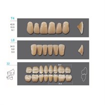 Kaifeng - зубы акриловые, верхние T4, цвет C2, коробка 4х28 шт C2T4/L6/32_Kaifeng