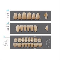 Kaifeng - зубы акриловые, верхние O5, овальные, цвет B3, коробка 4х28 шт B3O5/L8/34_Kaifeng