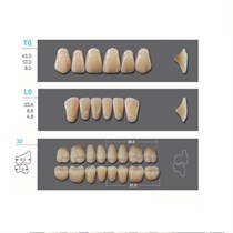 Kaili - зубы акриловые, верхние T6/нижние L6, цвет B2, размер 32, коробка 4х28 шт B2T6/L6/32_Kaili
