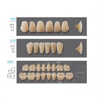 Kaili - зубы акриловые, верхние T10/нижние L10, цвет B3, размер *36M, коробка 4х28 шт B3T10/L10/*36M_Kaili