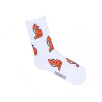 Носки мужские, "Лисички", белый, 41-45 BSK-S17-41