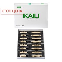 Зубы акриловые Kaili 8*1/ D4 *36ML 1 уп. (12 гарн.), D4*36ML_Kaili D436ML_Kaili