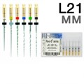 Набор файлов REVO-S Assortiment: L21 мм, (6 шт.). SC1-SC2-SU-AS30-AS35-AS40 20143113 (NiTi). Micro-Mega 0001912556 - фото 448379