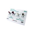 Набор полиров для полировки до зеркального блеска Jota Kit LS Gloss (4 полира). 1435(LSGLOSS-DENTISTRY) - фото 462849
