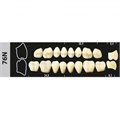 Зубы Major A1 76N жевательный верх, 8 шт (Super Lux). st975742 - фото 479191