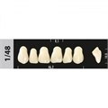 Зубы Major A3 1/48, 28 шт (Super Lux). st496879 - фото 479464