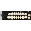 Зубы Major A1 1/65 жевательный низ, 8 шт (Super Lux). st391806 - фото 479844