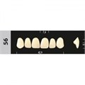Зубы Major A4 56, 28 шт (Super Lux). st291708 - фото 479905