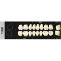 Зубы Major B3 1/60 жевательный верх, 8 шт (Super Lux). st473045 - фото 479995