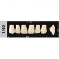 Зубы Major C3 1/40, 28 шт (Super Lux) st803758 - фото 480142