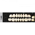 Зубы Major C3 1/65 жевательный низ, 8 шт (Super Lux) st240382 - фото 480144