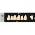 Зубы Major D3 1/22, 28 шт (Super Lux) st145982 - фото 480242