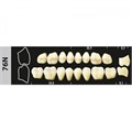 Зубы Major A1 76N жевательный низ, 8 шт (Super Lux). st641653 - фото 481529
