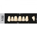 Зубы Major C3 1/22, 28 шт (Super Lux) st754035 - фото 481603