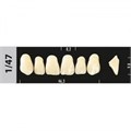 Зубы Major C2 1/47, 28 шт (Super Lux) st563289 - фото 481872