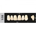 Зубы Major B3 1/35, 28 шт (Super Lux). st354504 - фото 481873