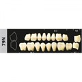 Зубы Major C3 79N жевательный верх, 8 шт (Super Lux) st303264 - фото 482116