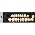 Зубы Major D4 79N жевательный верх, 8 шт (Super Lux) st806555 - фото 482129