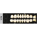 Зубы Major B4 1/74 жевательный верх, 8 шт (Super Lux) st592394 - фото 482366