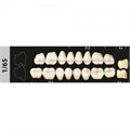 Зубы Major C2 1/65 жевательный верх, 8 шт (Super Lux) st382689 - фото 482386