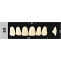 Зубы Major D4 59, 28 шт (Super Lux) st364990 - фото 482434