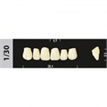 Зубы Major C3 1/30, 28 шт (Super Lux) st118827 - фото 483428